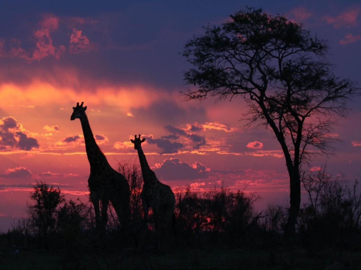 Paradise River Lodge Hoedspruit Luaran gambar