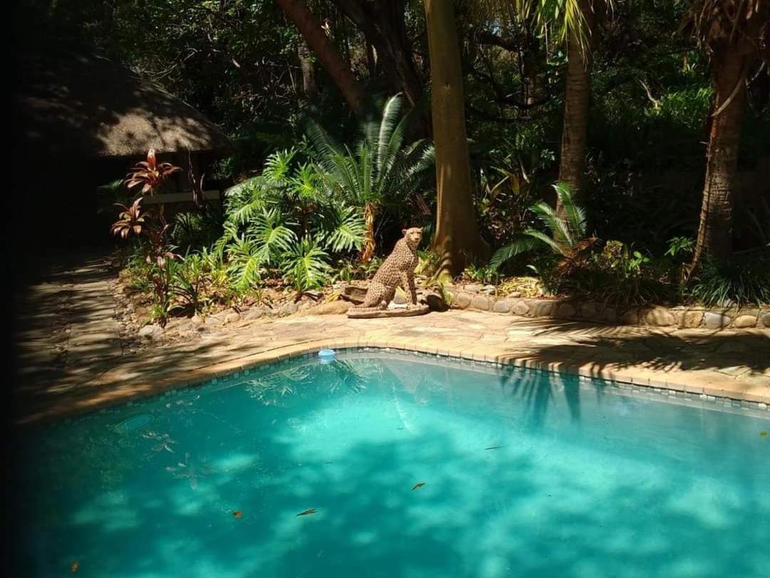 Paradise River Lodge Hoedspruit Luaran gambar